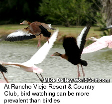 Rancho Viejo Resort & Country Club - Wildlife