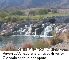 Raven at Verrado