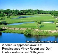 Renaissance Vinoy Resort and Golf Club - 16th Green