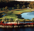 The Palm course