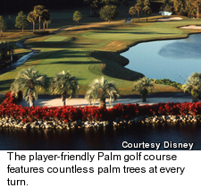 The Palm course
