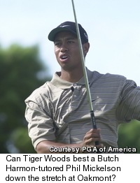 Tiger Woods