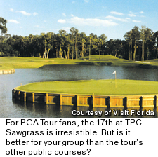 TPC Sawgrass' Stadium Course - Hole 17
