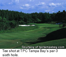 TPC Tampa Bay - Hole 6