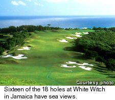 White Witch - Jamaica