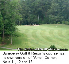 Baneberry Golf & Resort
