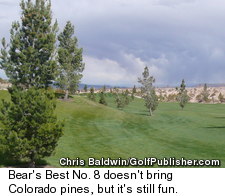 Bear's Best Course - No. 8