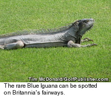 Britannia Golf Club - Blue Iguana