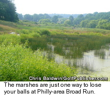 Broad Run Golfer's Club - Marshes