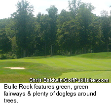 Bulle Rock - Trees