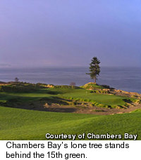 Chambers Bay Golf Course - No.15