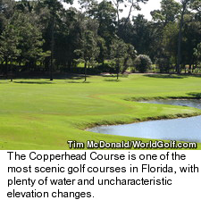 Copperhead Golf Course at Innisbrook Resort