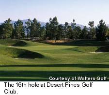 Desert Pines Golf Club - No.16