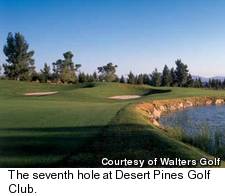 Desert Pines Golf Club - No.7