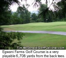 Egwani Farms Golf Course - Back Tees