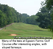 Egwani Farms Golf Course - Fairways