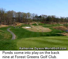 Forest Greens Golf Club - Back Nine