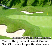 Forest Greens Golf Club - Greens