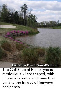 Bandon Dunes - Old Mcdonald Golf Course - Hole 7