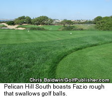 Pelican Hill Ocean South Course - Rough