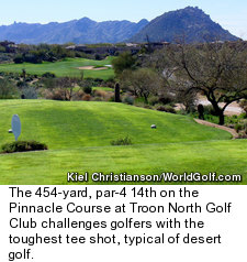 Pinnacle Course at Troon North - Hole 14