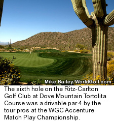 Ritz-Carlton Golf Club's Tortolita Course - No. 6