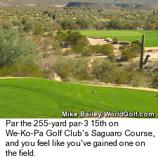 We-Ko-Pa Saguaro Course - Hole 15