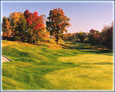  Crystal Springs
