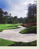Dancing Rabbit
