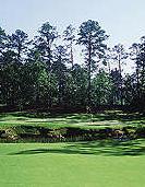 Dancing Rabbit
