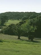 Dehesa