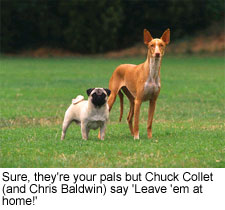 Dogs on Golf Courses