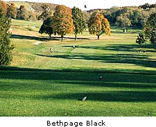 Bethpage Black