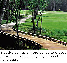 BlackHorse Golf Club