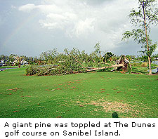 The Dunes