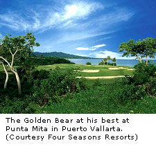 Golden Bear
