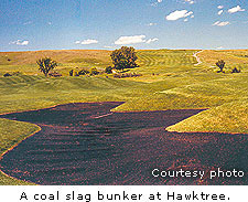 Hawktree
