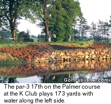 Par-3 17th at K Club