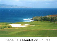 Kapalua's Plantation Course
