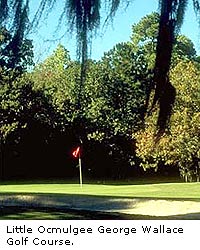 Little Ocmulgee Golf