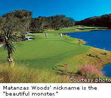 Matanzas Woods