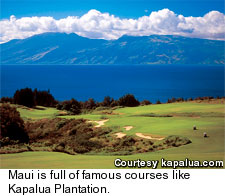 Maui Plantation