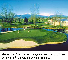 Meadow Garden