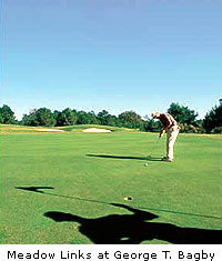 Meadow Links