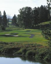 Northern Pines