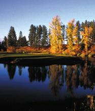 Northern Pines
