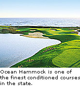 Ocean Hammock