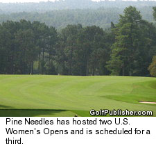 Pine Needles