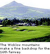 Powerscourt Fairway