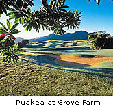 Puakea Grove